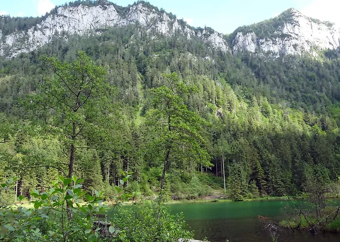 Otel Alpenhotel Gastager Inzell